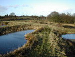 Pond Management and Pond Creation