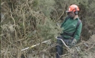 Brushcutting scrub at Parc Bodonled