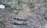 Path and steps