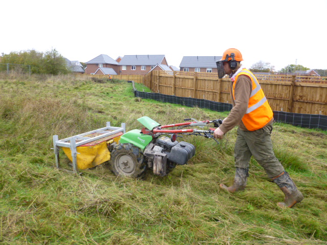 The drum mower attachment has been modified with a silver frame so that it sits on skids approximately 10cm above ground level, thereby allowing cutting of grassland areas in GCN habitat with no harm to GCN.