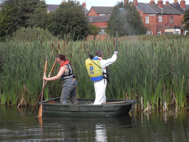 The flat-bottomed work boat can be used for herbicide application from the water in inaccessible locations.